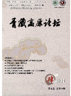 青藏高原论坛：社会科学版