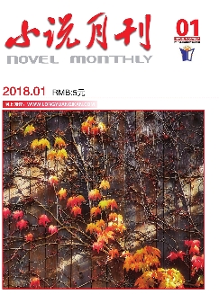 小说月刊：下半月