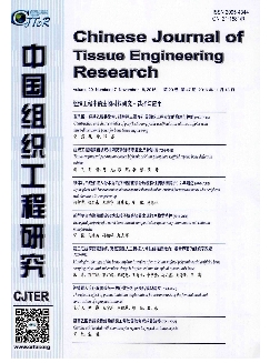 中国组织工程研究