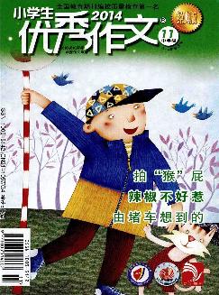 小学生优秀作文：中年级版