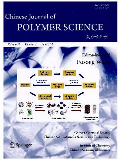 高分子科学：英文版
