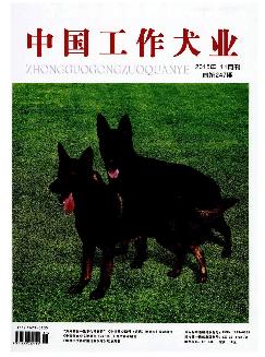 中国工作犬业