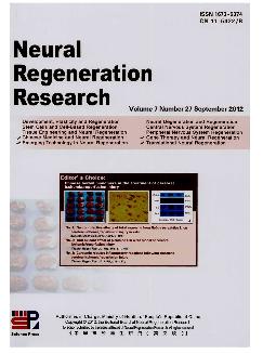 中国神经再生研究：英文版